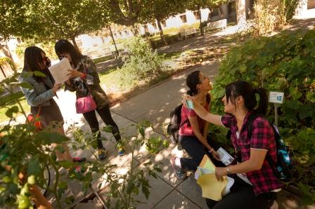 Summer Start students discover the salad bowl garden