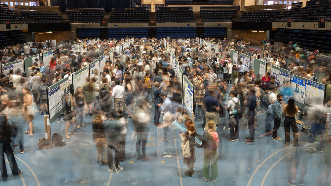 Blurry images of hundreds of students moving in and out of aisles at the 2023 Undergraduate Research, Scholarship and Creative Activities Conference. The poster boards between the aisles are in focus with the blur of student activity around them.