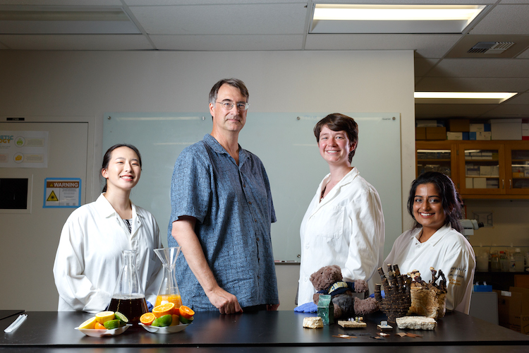 professor Furlow in the TEAM lab with three students 