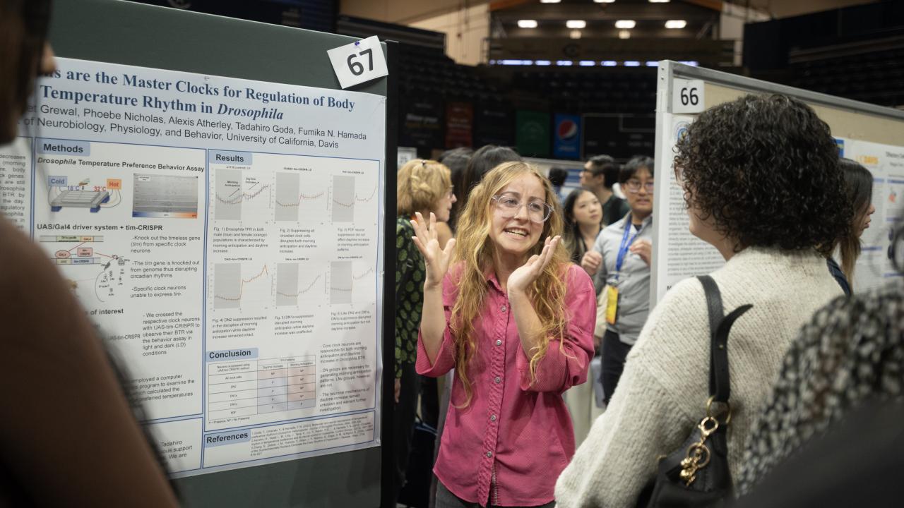 Student presenting a poster at a conference.