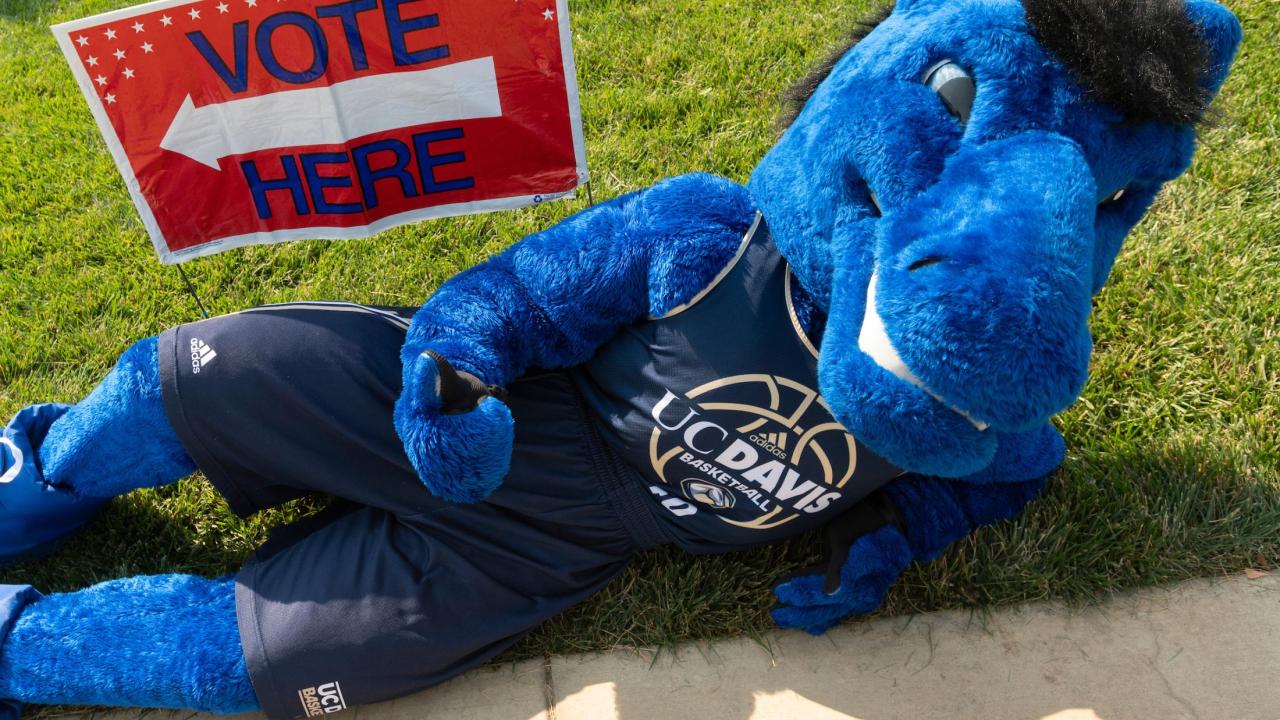 UC Davis mascot Gunrock, a blue mustang, lies on the grass next to a Vote Here sign.