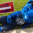 UC Davis mascot Gunrock, a blue mustang, lies on the grass next to a Vote Here sign.